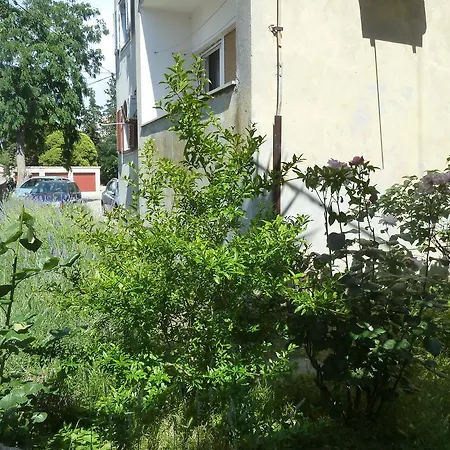 Appartement Marina *