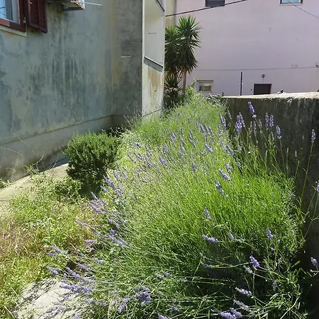 Appartement Marina